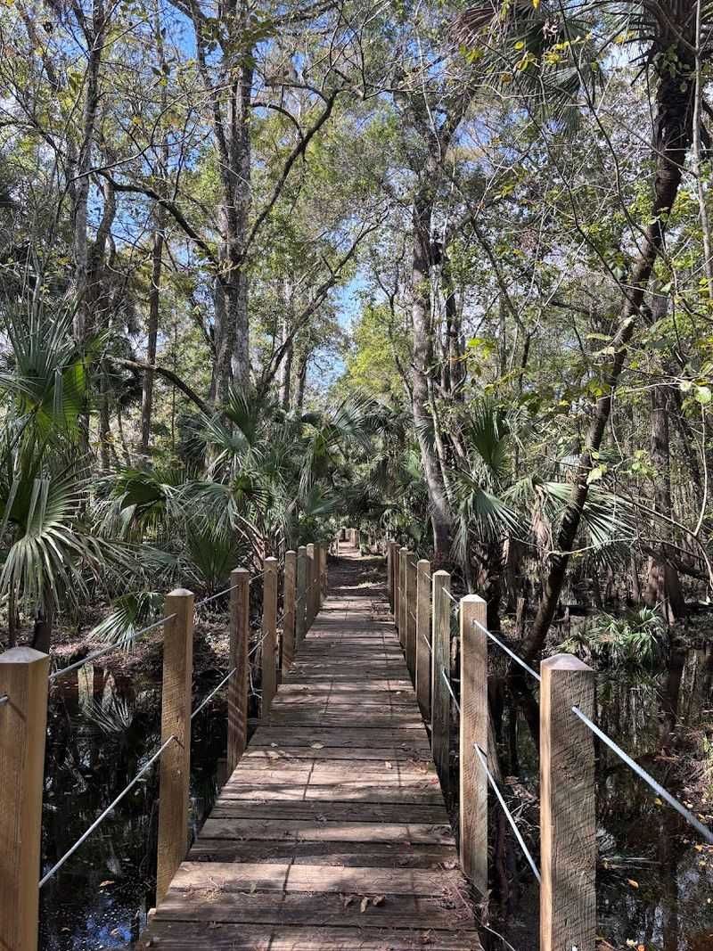 Best Times to Visit the Trail
