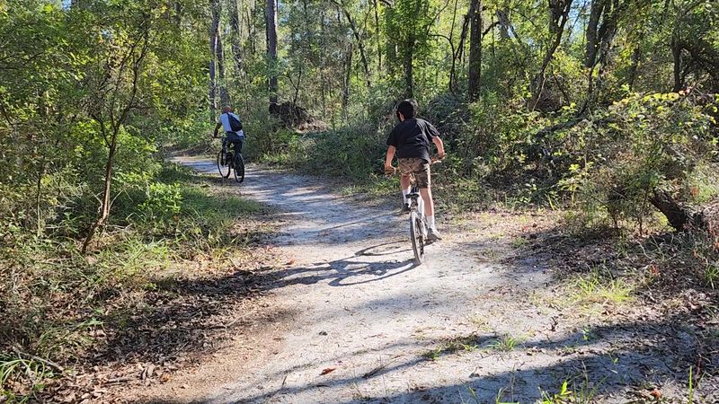 Biking the Trail: A Newer Option Worth Knowing About Biking the Trail: A Newer Option Worth Knowing About