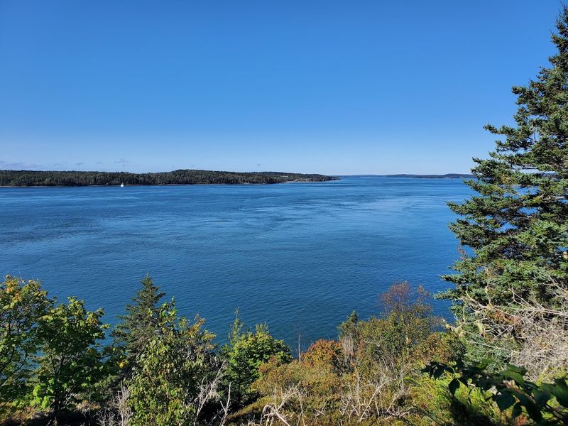 Birding and Wildlife Along the Bold Coast