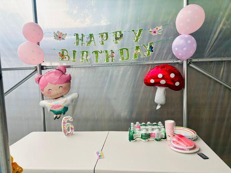 Birthday Parties at the Farm Are a Legitimate Option