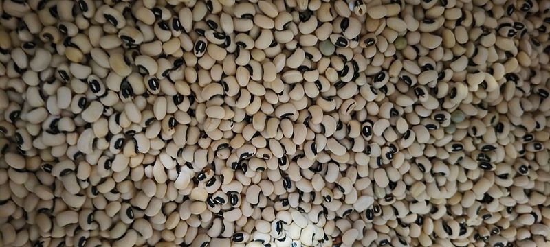 Black-Eyed Peas