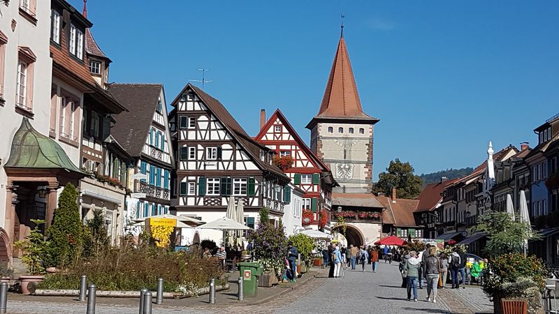 Black Forest (Schwarzwald) Black Forest (Schwarzwald)