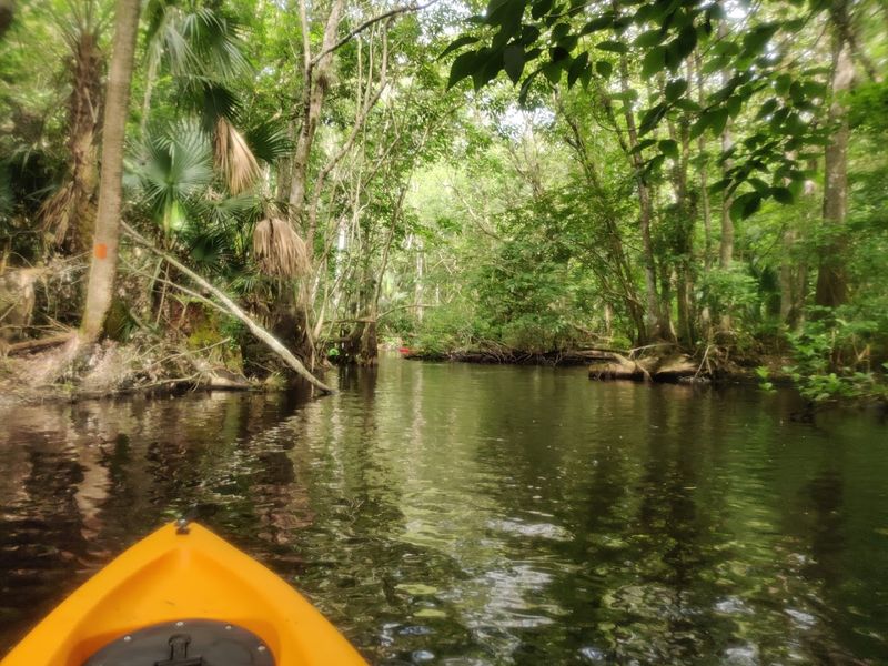 Blackwater Creek: A Paddler's Quiet Paradise Blackwater Creek: A Paddler's Quiet Paradise