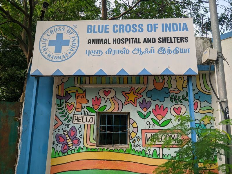 Blue Cross of India, Chennai, India Blue Cross of India, Chennai, India