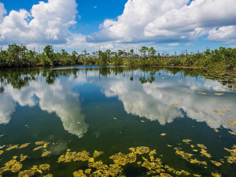 Blue Hole: A Freshwater Surprise in the Middle of the Keys