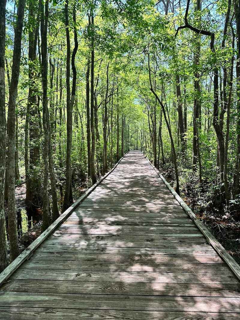 Boardwalks and Nature Trails on Foot