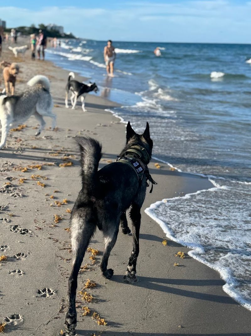 Boca Raton Bark Beach, Boca Raton