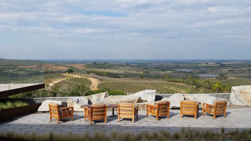 Bodega Garzón