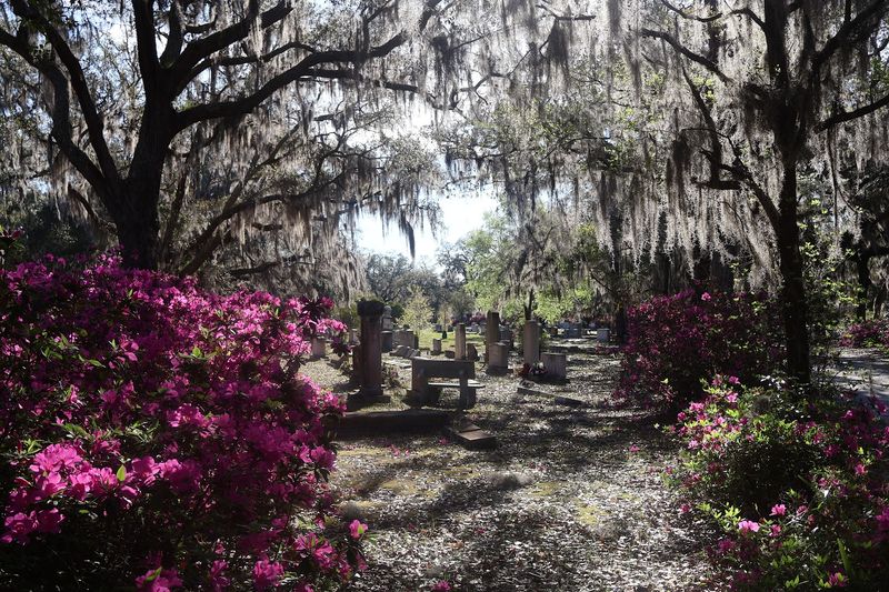 Bonaventure Cemetery Bonaventure Cemetery