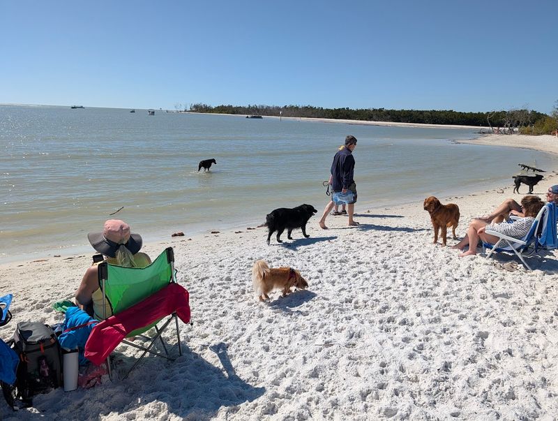 Bonita Beach Dog Park, Lee County