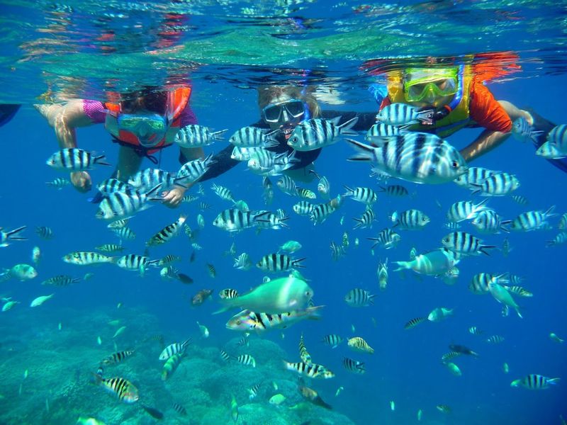 Bora Bora, French Polynesia Bora Bora, French Polynesia