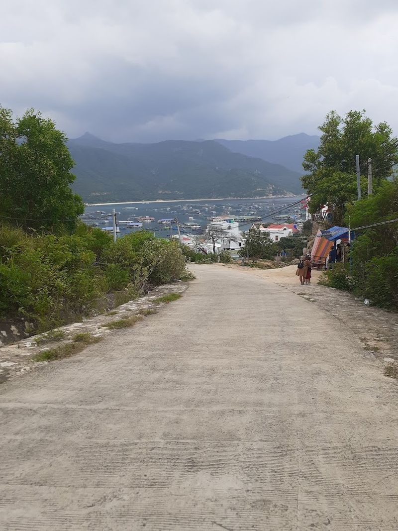 Vietnam's Emerging Regions