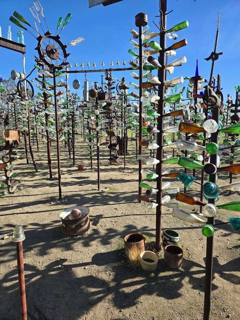 Bottle Tree Ranch, Oro Grande, California