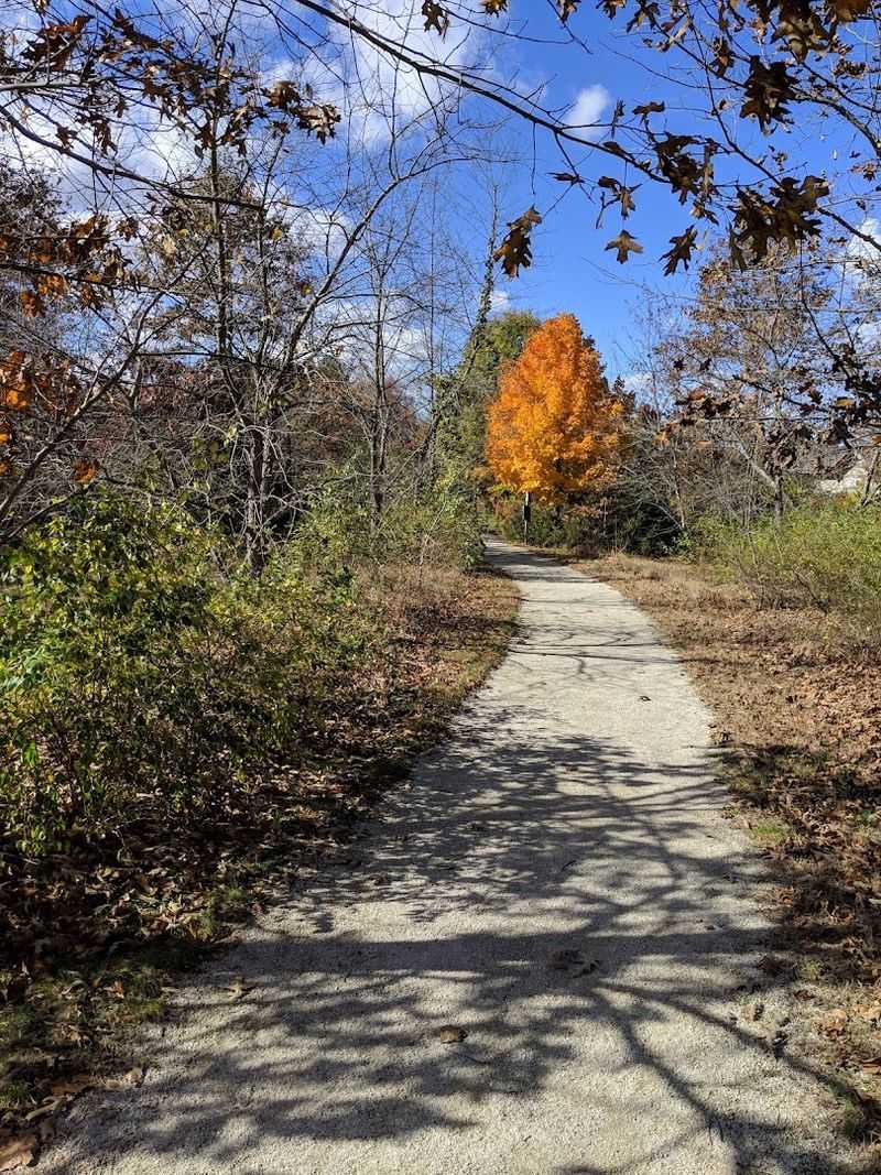 Boundary Creek Natural Resource Area, Moorestown, New Jersey
