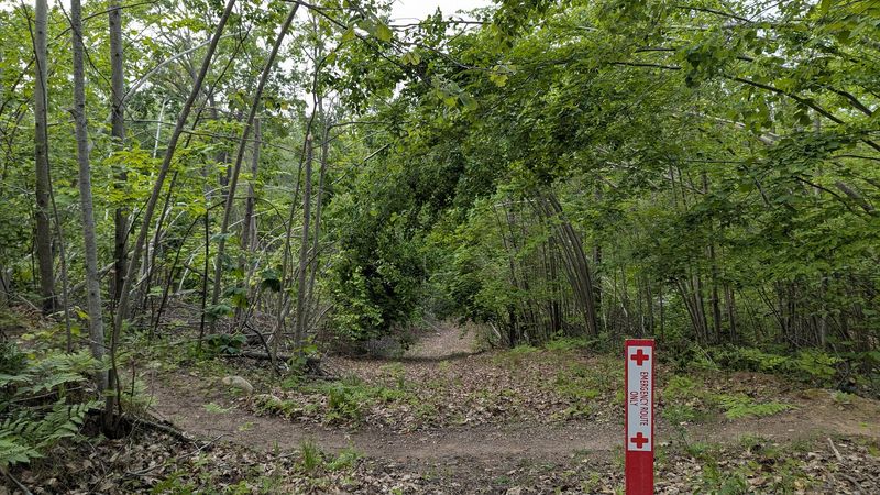 Bow Hunting Is Allowed Here and What That Means for Visitors Bow Hunting Is Allowed Here and What That Means for Visitors