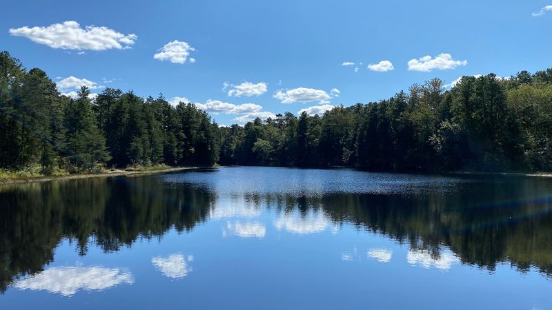 Brendan T. Byrne State Forest, New Lisbon, New Jersey