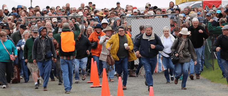 Brimfield Auction Acres