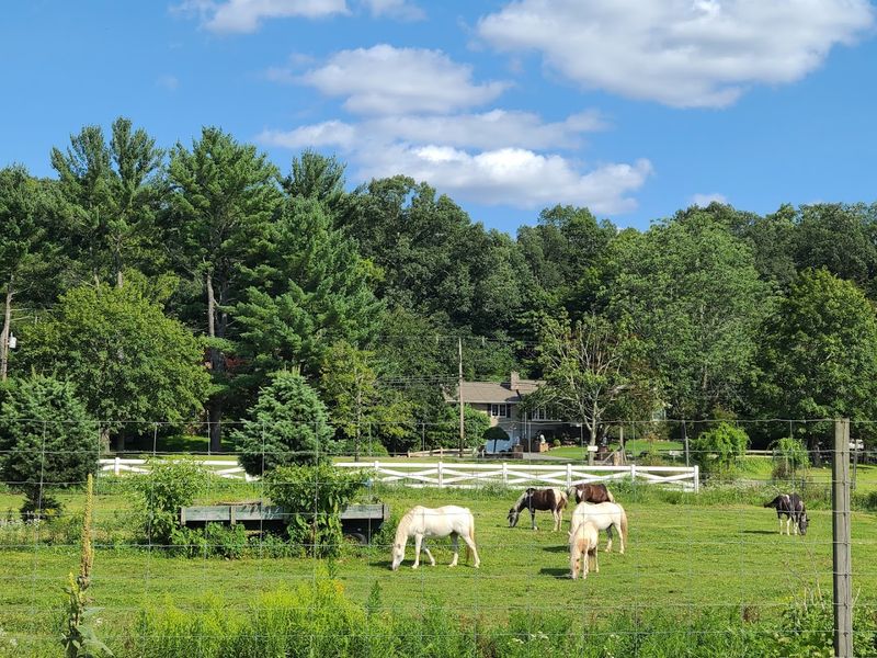 Brookhollow's Barnyard In Boonton, New Jersey Brookhollow's Barnyard In Boonton, New Jersey