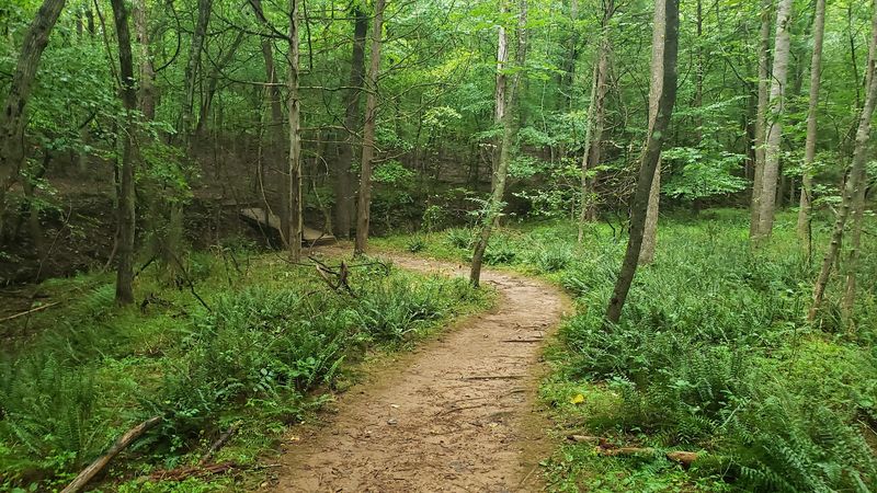 Buckquarter Creek Trail, Durham, North Carolina