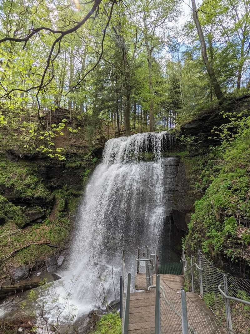 Buttermilk Falls Natural Area, New Florence, Pennsylvania