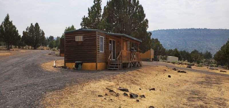 Cabin Options for Every Kind of Traveler