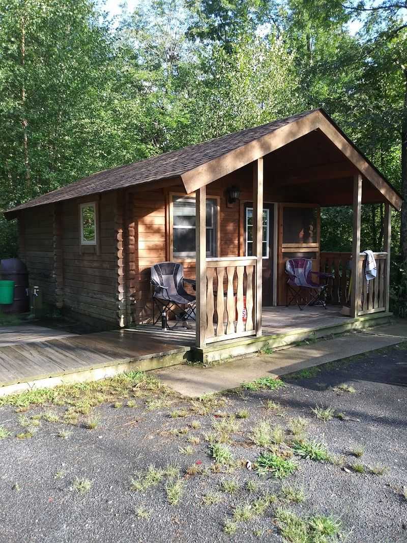 Cabin Options for a Different Kind of Stay