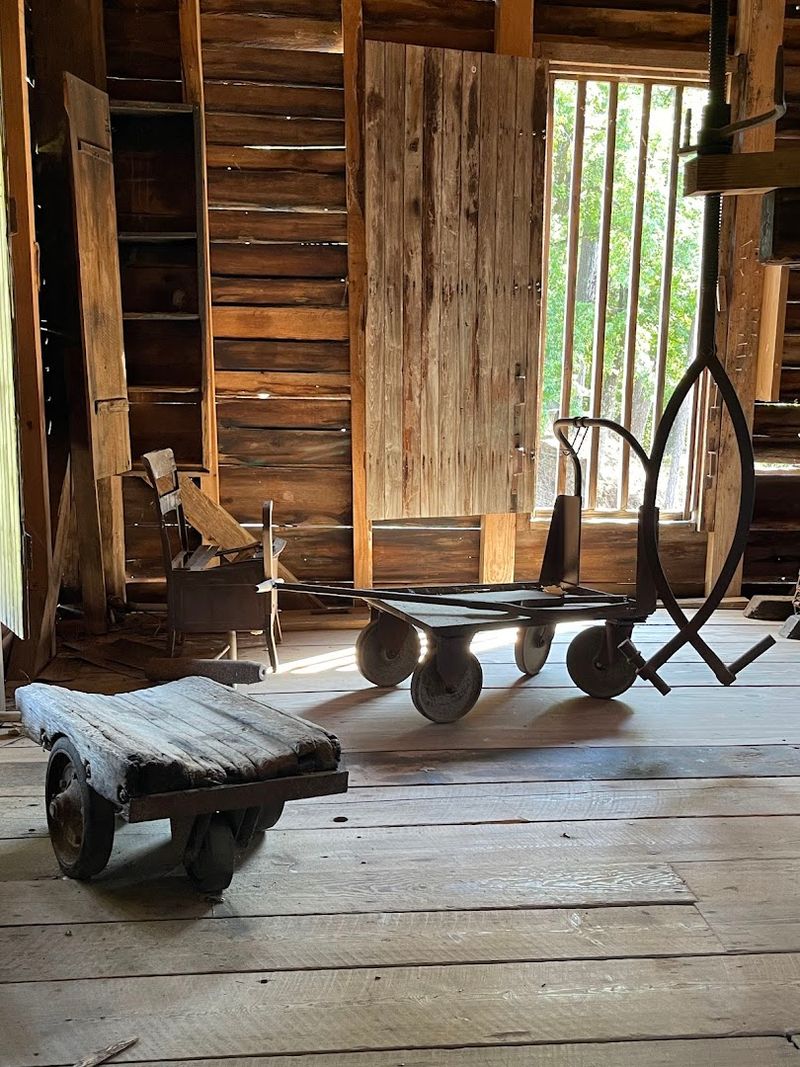 Cabin Rentals and Overnight Stays