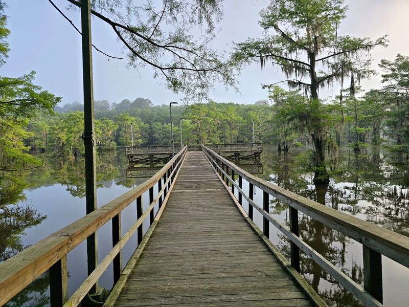 Caddo Lake State Park Caddo Lake State Park