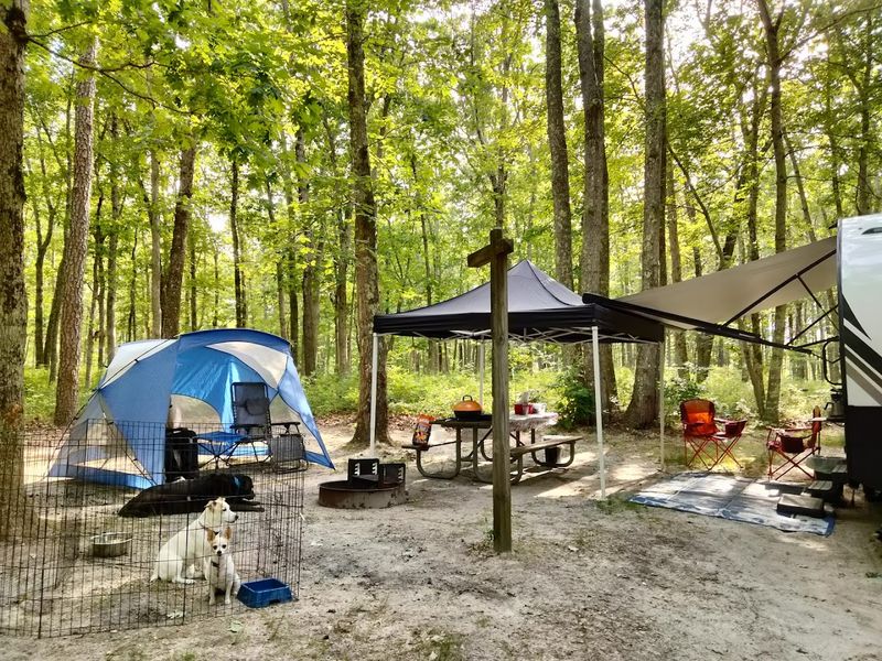 Camping That Actually Delivers