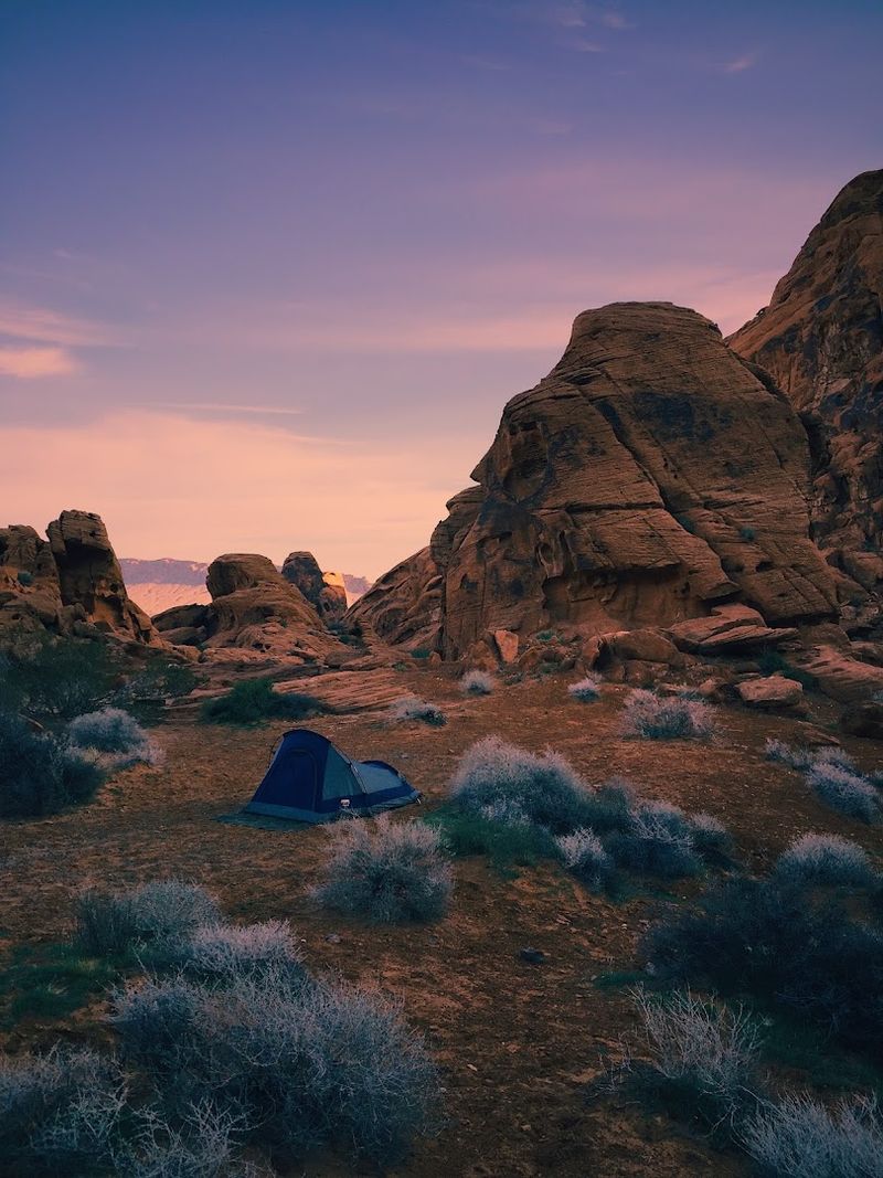 Camping Under a Sky Full of Stars