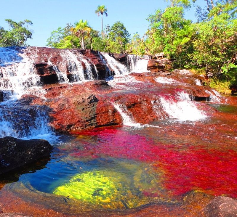Cano Cristales, Colombia