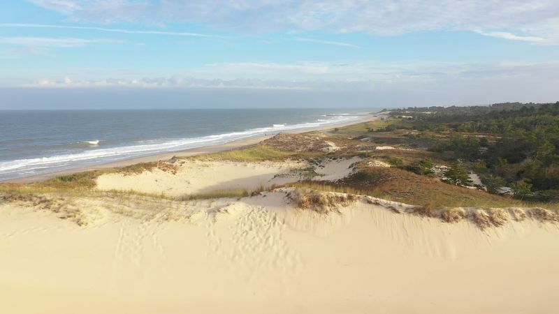 Cape Henlopen State Park, Lewes, Delaware Cape Henlopen State Park, Lewes, Delaware