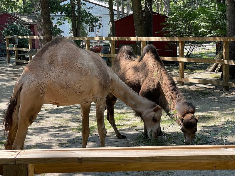 Cape May County Park And Zoo, Cape May Court House, New Jersey
