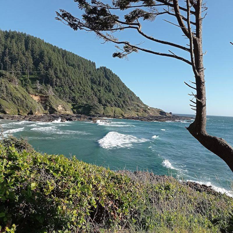 Cape Perpetua Scenic Area and Its Wonders