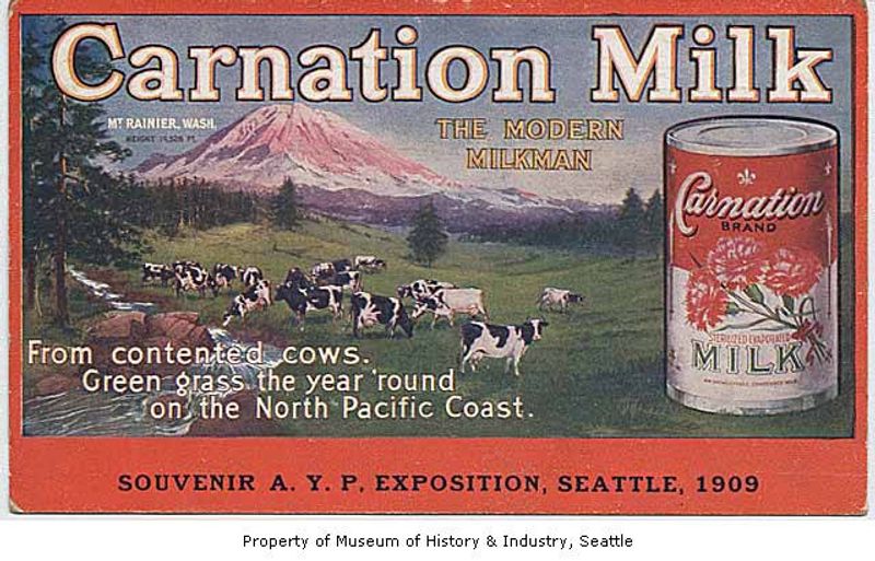 Carnation Evaporated Milk