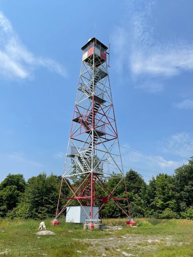 Catfish Fire Tower in Hardwick Township, New Jersey Catfish Fire Tower in Hardwick Township, New Jersey