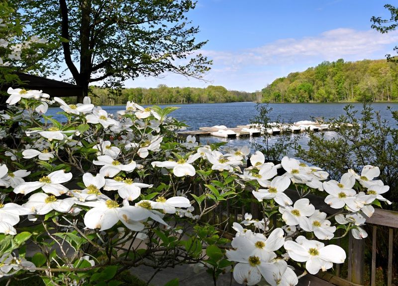 Chain O'Lakes State Park, Albion, Indiana Chain O'Lakes State Park, Albion, Indiana