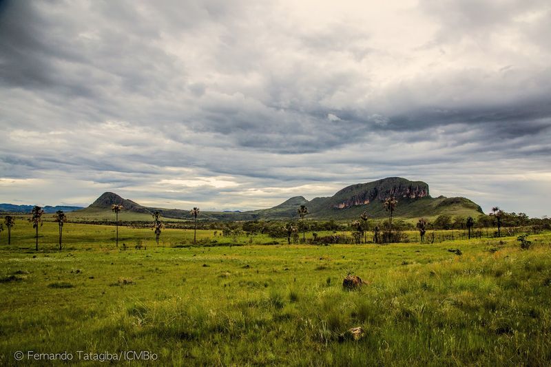 Chapada dos Veadeiros