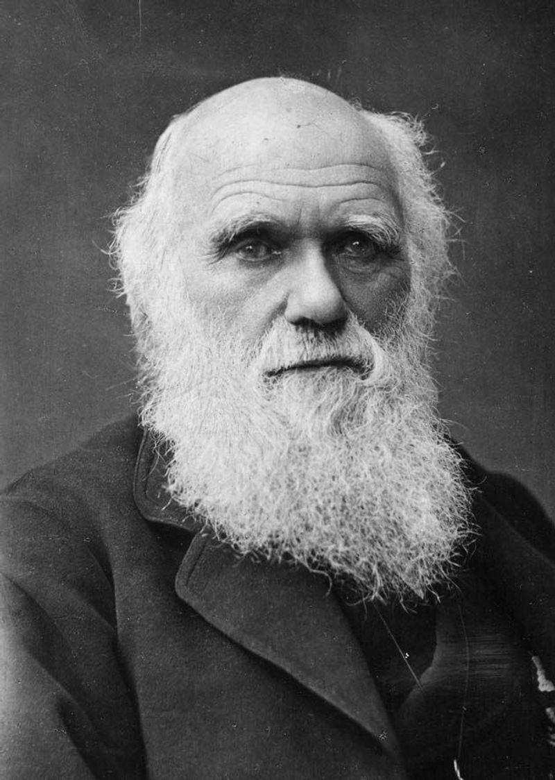 Charles Darwin Charles Darwin