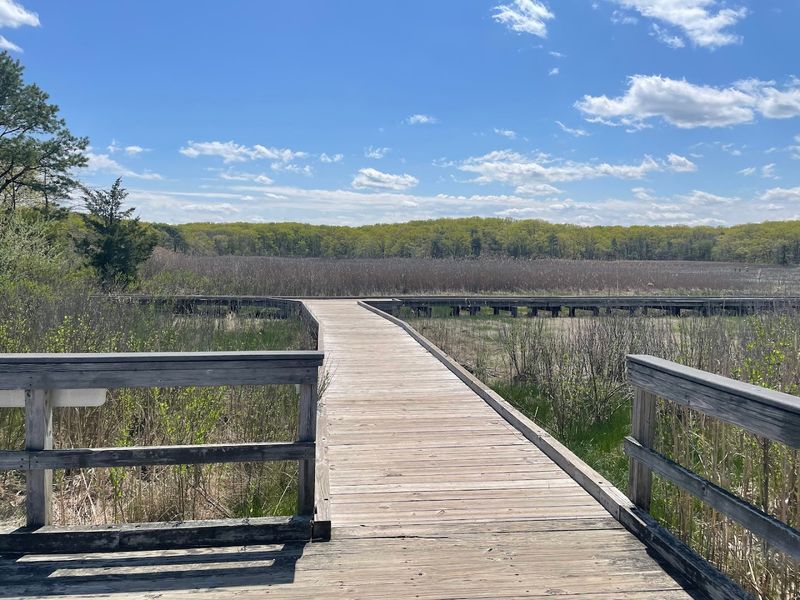 Cheesequake State Park, Matawan, New Jersey