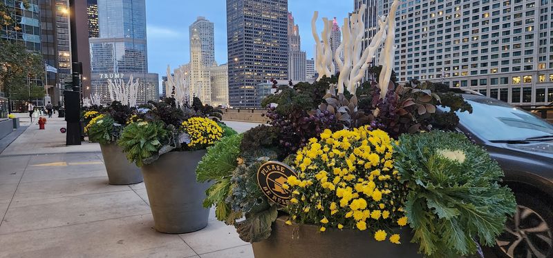 Chicago, USA