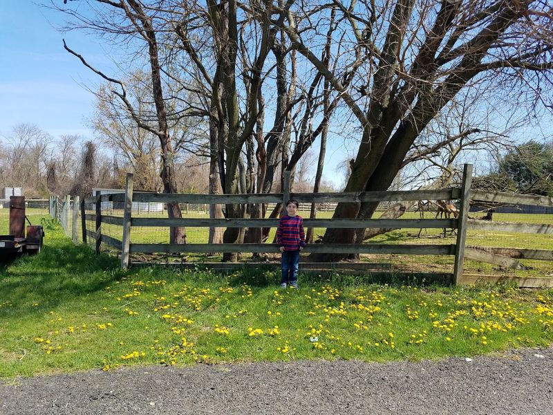 Childhood Memories and Multigenerational Loyalty