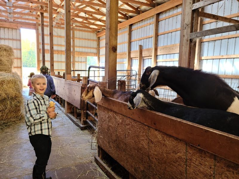 Classes and Goat School: Learning That Actually Sticks Classes and Goat School: Learning That Actually Sticks