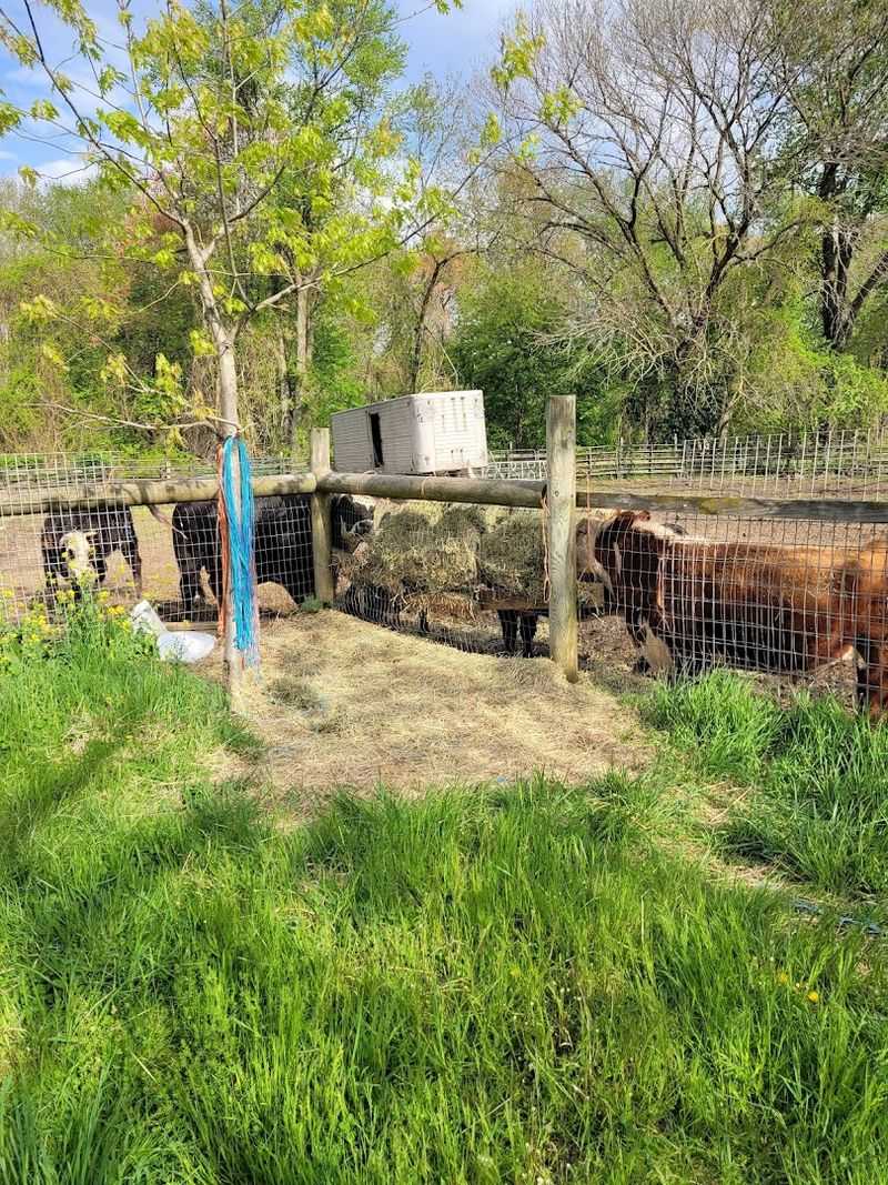Cleanliness and Organization on the Property