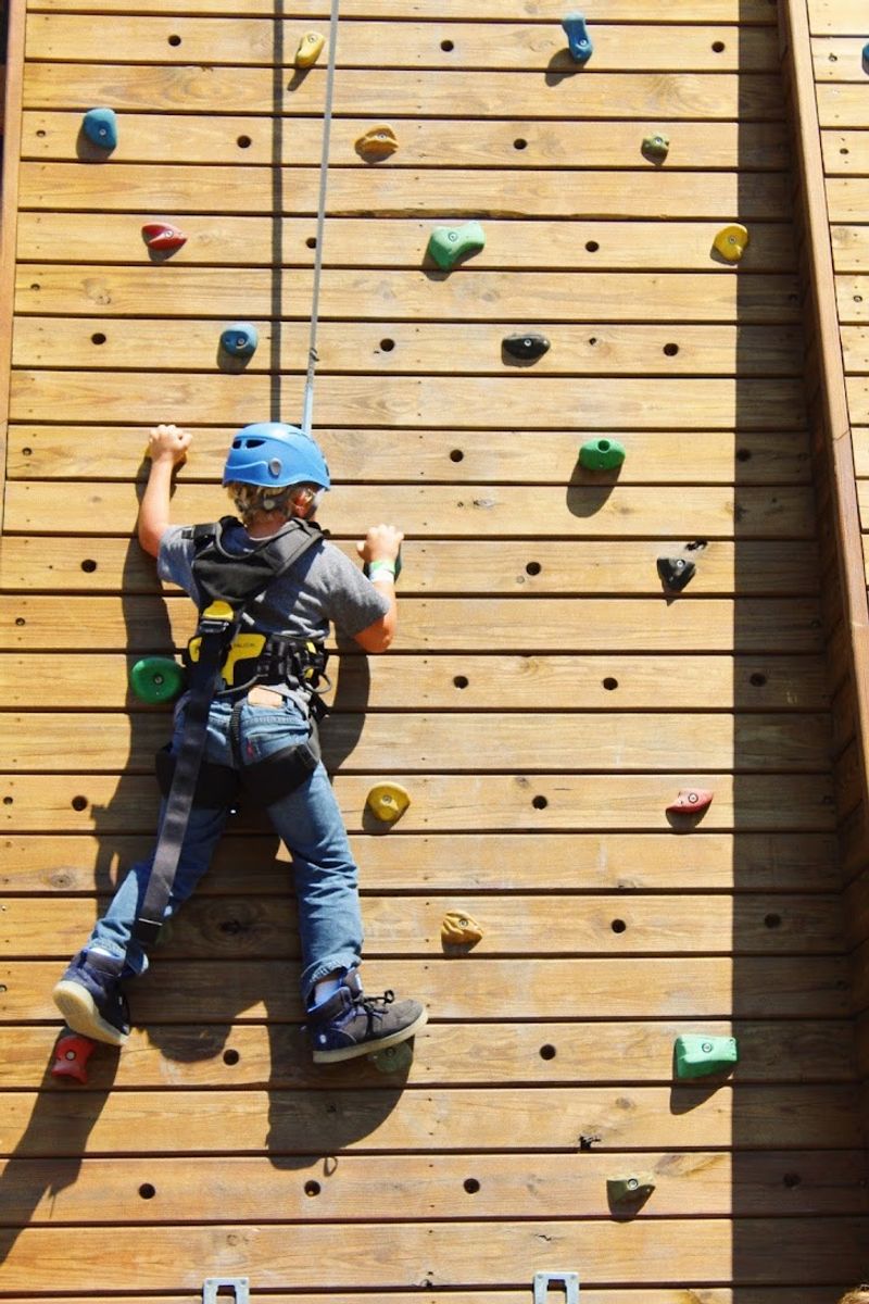 Climbing Wall: A Challenge Worth Facing