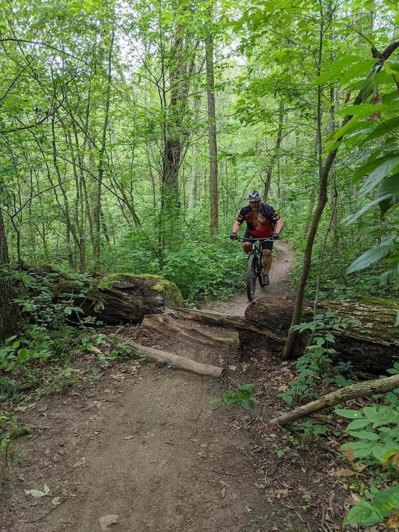 Climbs, Descents, and the Terrain Mix That Defines This Trail