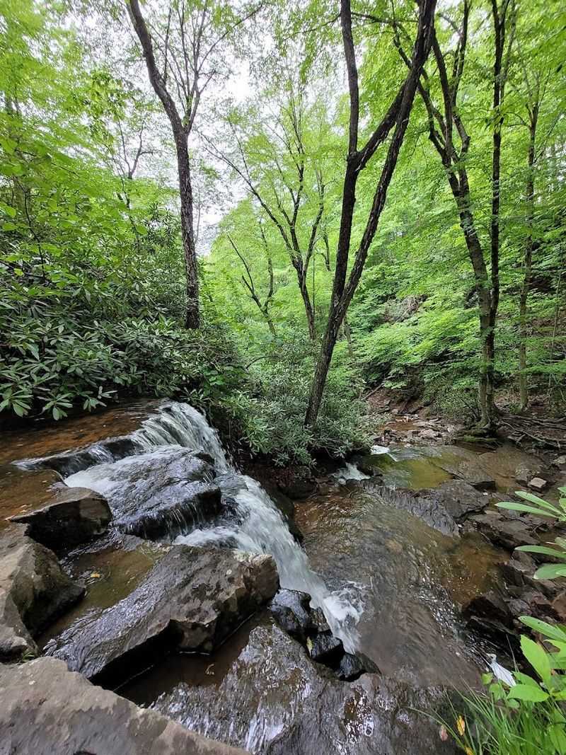 Cole Run Falls, Middlecreek Township, Pennsylvania