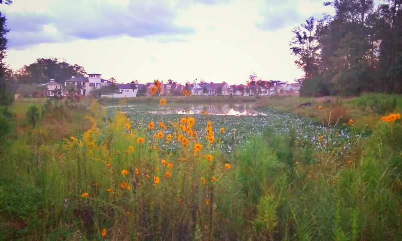 Covington Covington