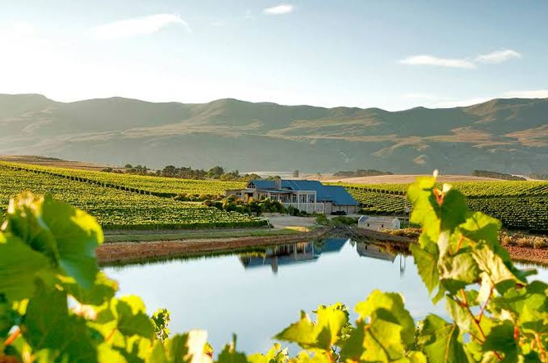 Creation Wines - Hemel-en-Aarde, South Africa Creation Wines - Hemel-en-Aarde, South Africa