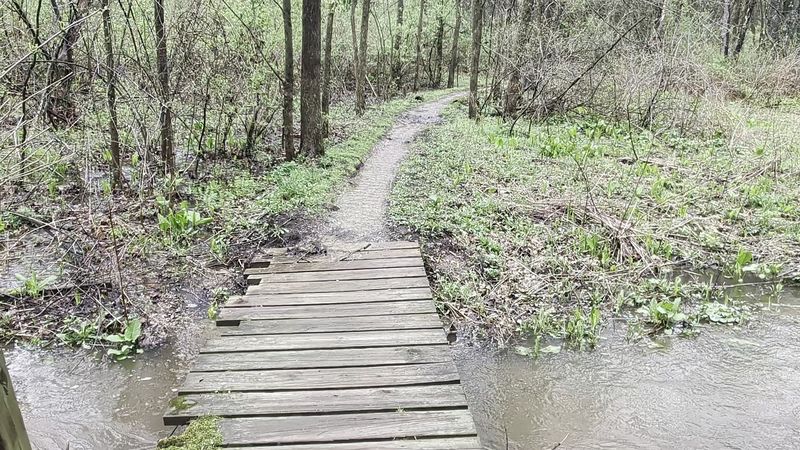 Creek Crossings and Bridge Hops That Add Pure Fun to the Ride